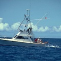 Hawaiian International Billfish Tournament